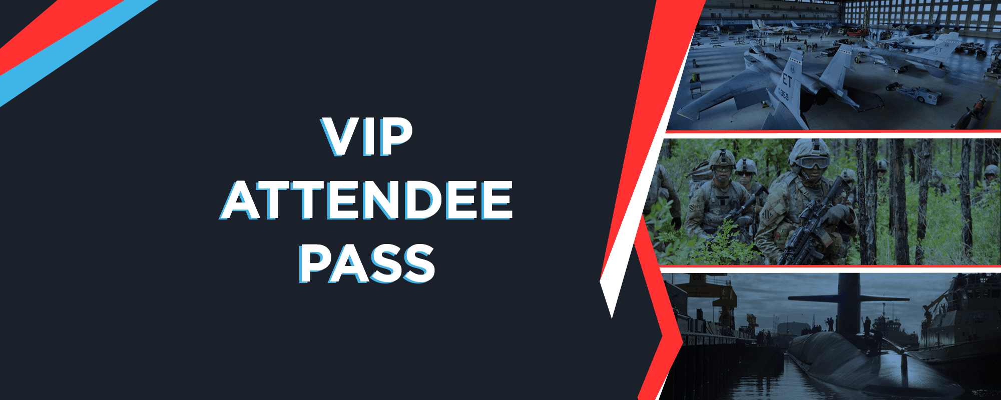 VIP Attendee Pass